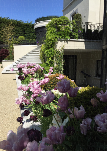 Regent's Garden
